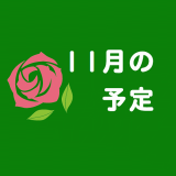 １１月の予定